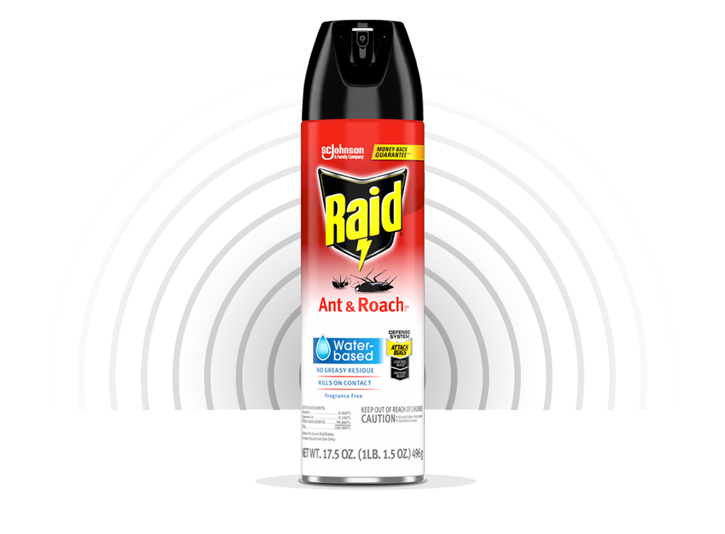 Raid Ant & Roach Killer 26 Water Based D13 6/17.5oz