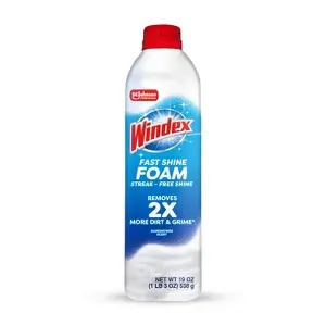 Windex Foaming Aerosol 6/19oz