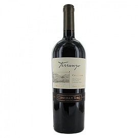 Terrunyo Carmenere 2024 6/75cl